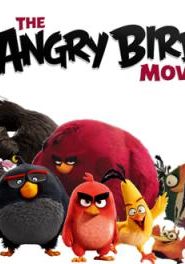فيلم كرتون The Angry Birds Movie – فيلم الطيور الغاضبة مترجم عربي