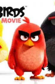 فيلم لكرتون أنجري بيردز Angry Birds Movie 2016 عربي