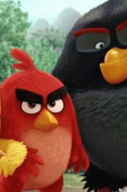 فيلم كرتون أنجري بيردز الفيلم | Angry Birds (2016) مدبلج عربي